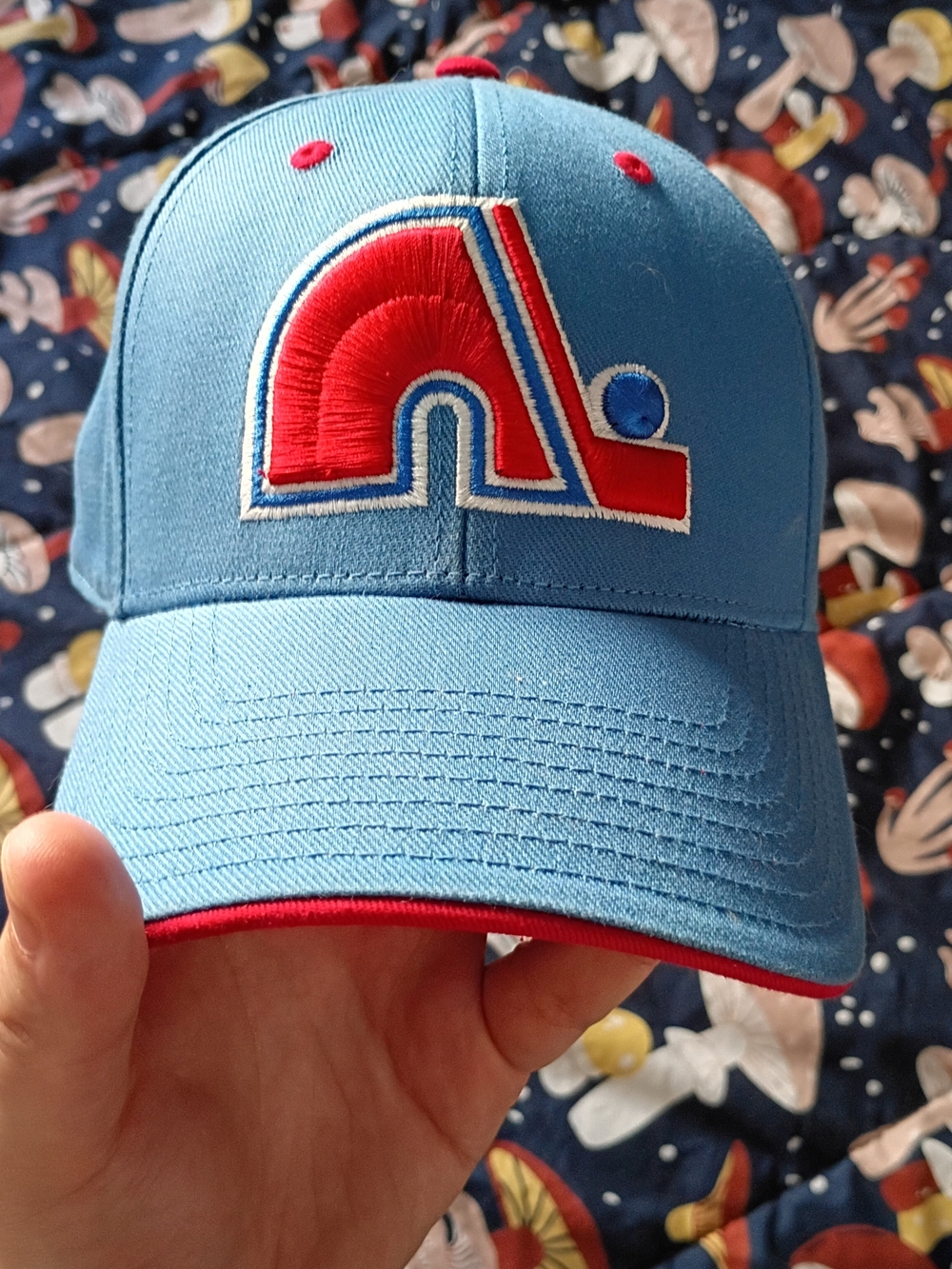 Vintage NHL Hockey Quebec Nordiques Hat